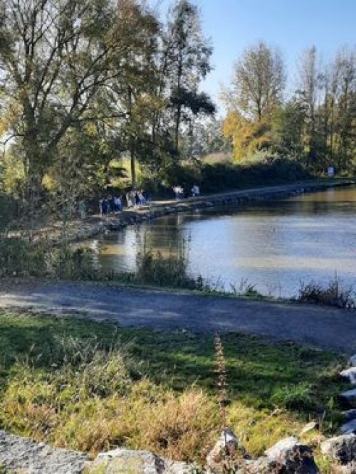 Après-midi sous le soleil - Etang de la Cafenière (CSV DOA)