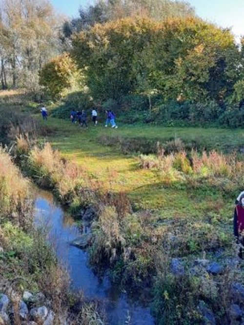 Après-midi sous le soleil - Etang de la Cafenière (CSV DOA)