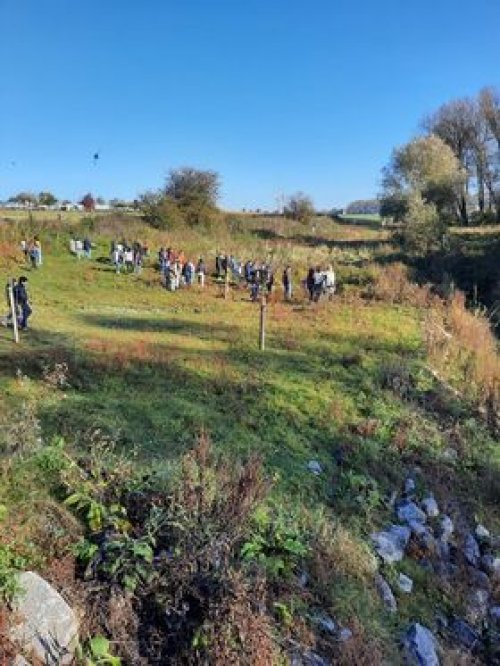 Après-midi sous le soleil - Etang de la Cafenière (CSV DOA)