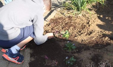 Action jardinage au DOA pour les 1C