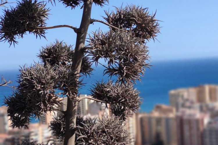 Voyage Rhétos 2022 - Espagne | Visite de l'Alhambra