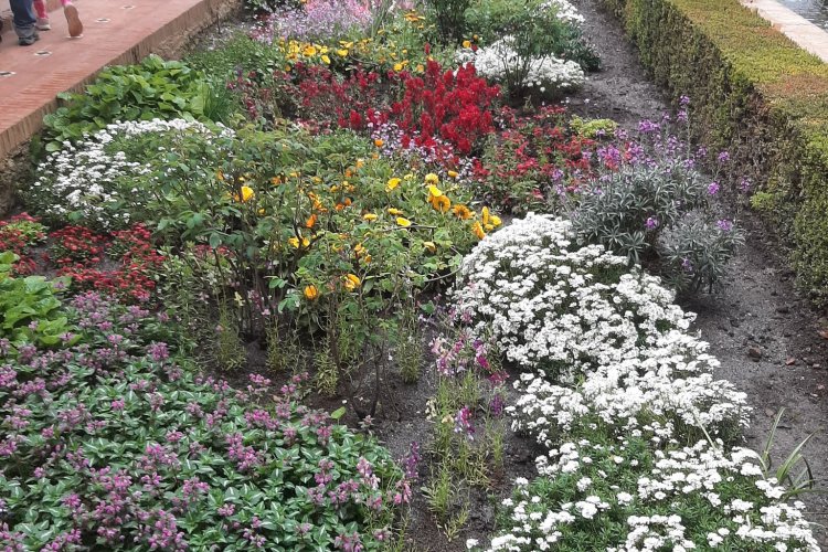 Voyage Rhétos 2022 - Espagne | Visite de l'Alhambra