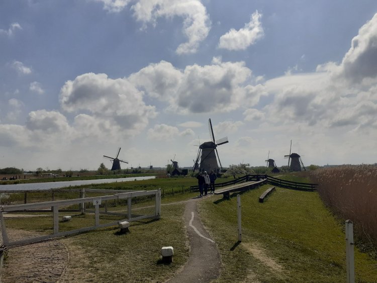 Voyage aux Pays-Bas - Dordrecht (3A, 3C, 3F)