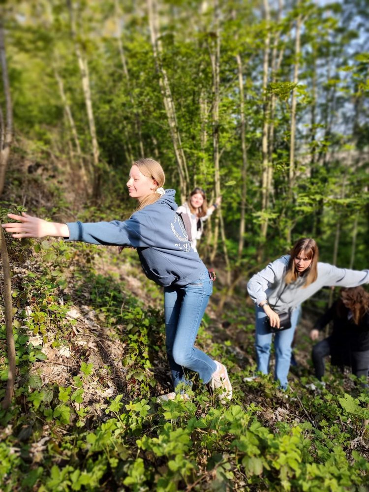 Activités d'avril