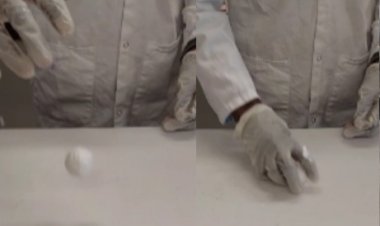 Actualités Projet "challenge vidéo" de la jeunesse scientifique - Vidéo 2