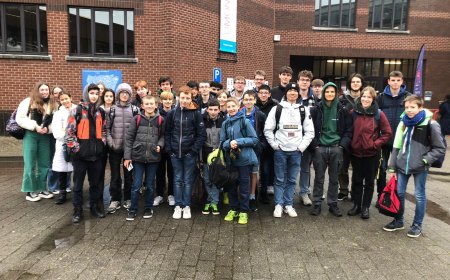 Demi-finales des Olympiades mathématiques