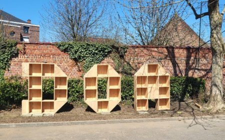 Un hôtel à insectes au Collège Saint-Vincent 1er degré