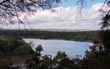 Journée des biotechniques aux étangs de Virelles