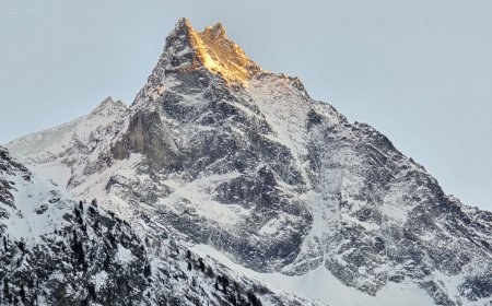 Séjour des élèves de 6TQ Animation