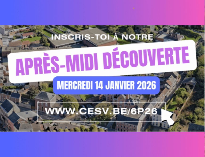 Demi journée découverte