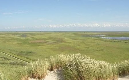 Voyage à Terschelling (Pays-Bas) - infos importantes