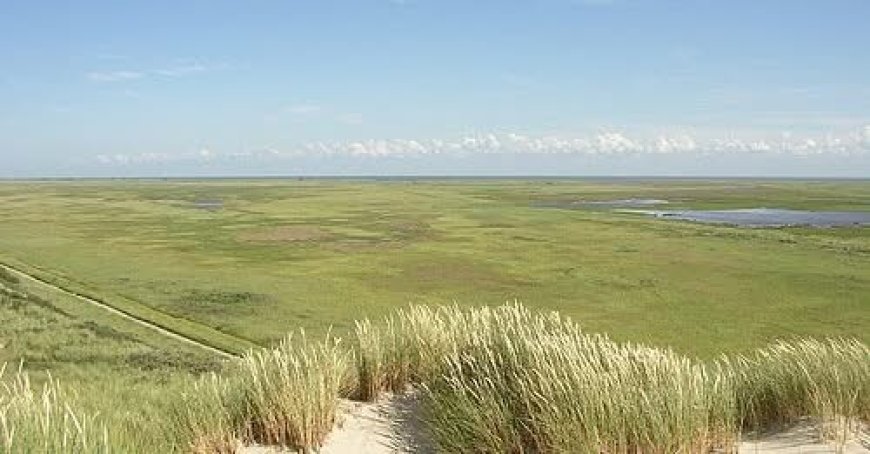 Voyage à Terschelling (Pays-Bas) - infos importantes