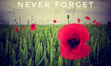 Congé du 11 novembre