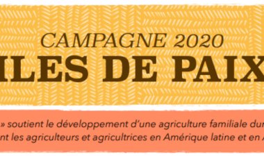 Campagne 2020 - Îles de Paix