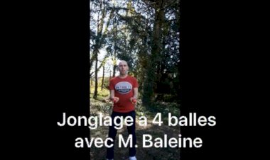 Les cours et défis de Jonglage : Lundi 13 avril Jongler à 4 balles avec M. Baleine