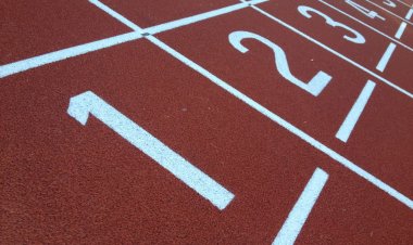 Questionnaire : « Les activités sportives parascolaires (élèves) »