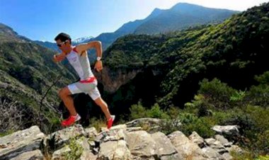 Les articles : Lundi 27 avril  Nouvel article de M. Vermeulen