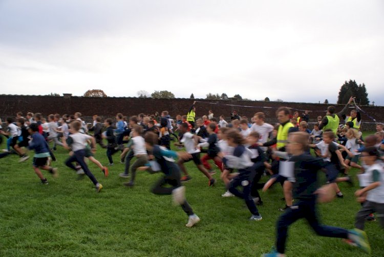 Cross des Primaires - octobre 2019