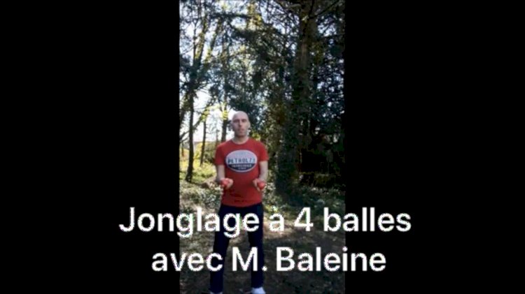 Les cours et défis de Jonglage : Lundi 13 avril Jongler à 4 balles avec M. Baleine